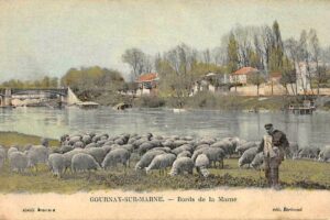 Bords de Marne vue du quai de Marne de puis gournay Ovins