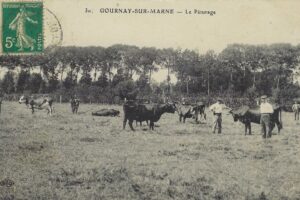 les vachers au pâturage avant 1907