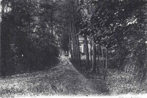 sous bois passage du bac vers 1900