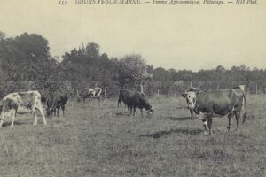 154 NC Phot Ferme Agro Pâturage