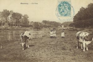 Promenade laitière sur les patis  vers 1905