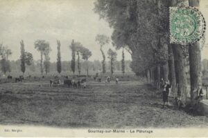 le Pâturage Edition Bourgois circ vers 1905