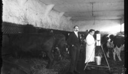 J.E LUCAS à l'étable photo de l'Agence ROL