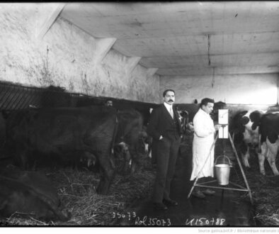 J.E LUCAS à l'étable photo de l'Agence ROL
