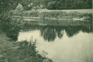 Pêche coin de Marne Chelles Gournay Pêche coin de Marne Chelles Gournay